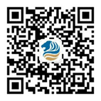 贝斯特 - 全球最奢华的游戏平台